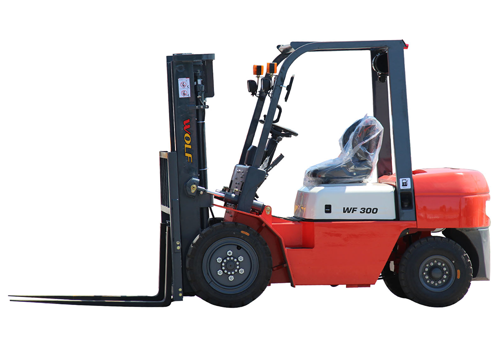 WF300